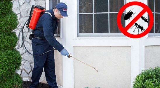 Boğazlıyan Dezenfeksiyon böcek ilaçlama ve haşere kontrolü — ilaclama-tr.com